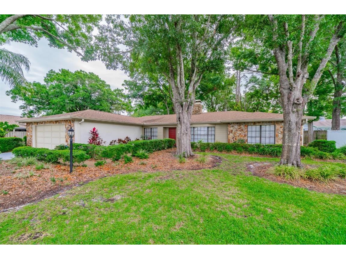 11905 Trevino Place Tampa FL 33624 T3527535 image1