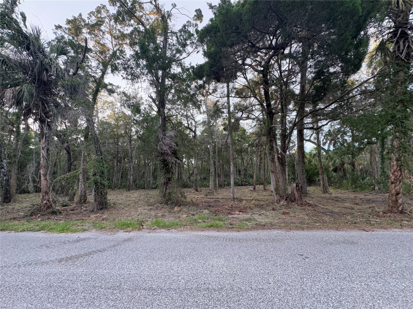 11905 W Eldred Lane Homosassa FL 34448 G5106746 image1