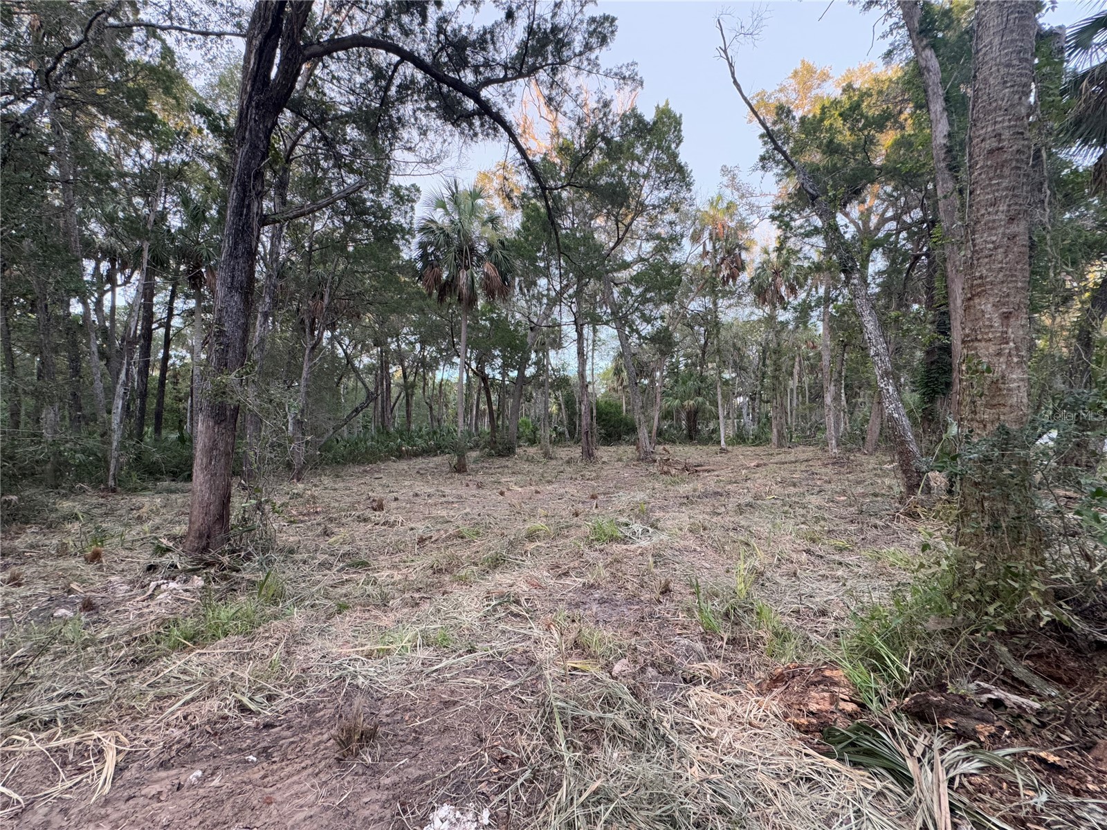 11905 W Eldred Lane Homosassa FL 34448 G5106746 image2