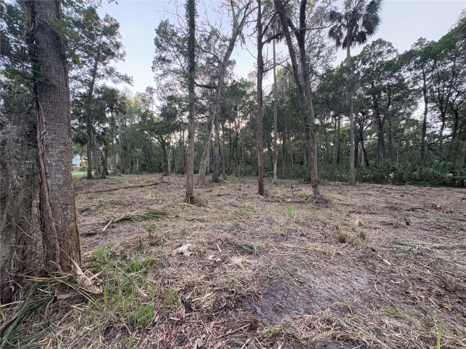 11905 W Eldred Lane Homosassa FL 34448 G5106746 image3