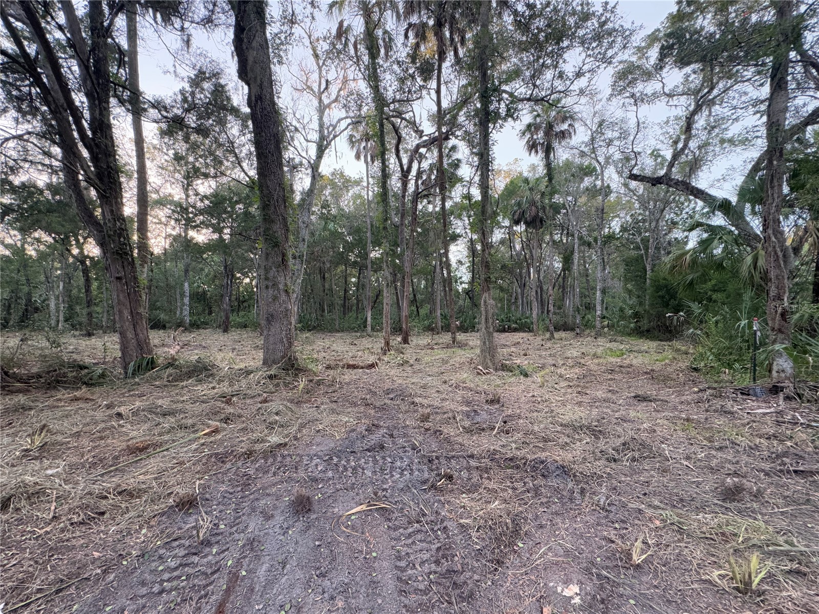 11905 W Eldred Lane Homosassa FL 34448 G5106746 image4