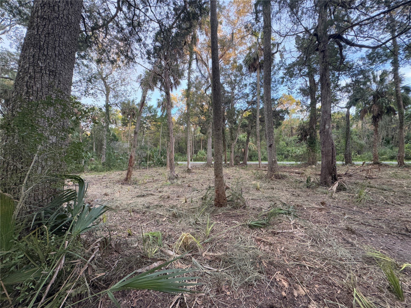 11905 W Eldred Lane Homosassa FL 34448 G5106746 image5