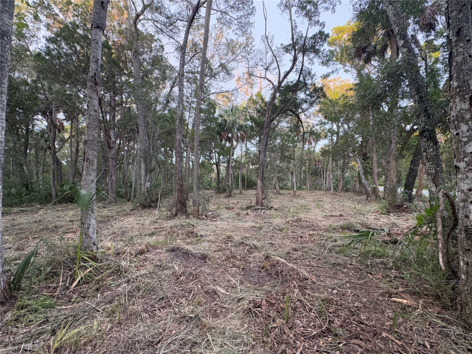 11905 W Eldred Lane Homosassa FL 34448 G5106746 image6