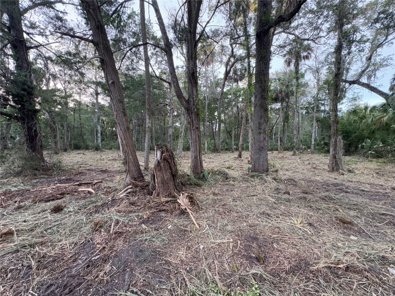 11905 W Eldred Lane Homosassa FL 34448 G5106746 image7