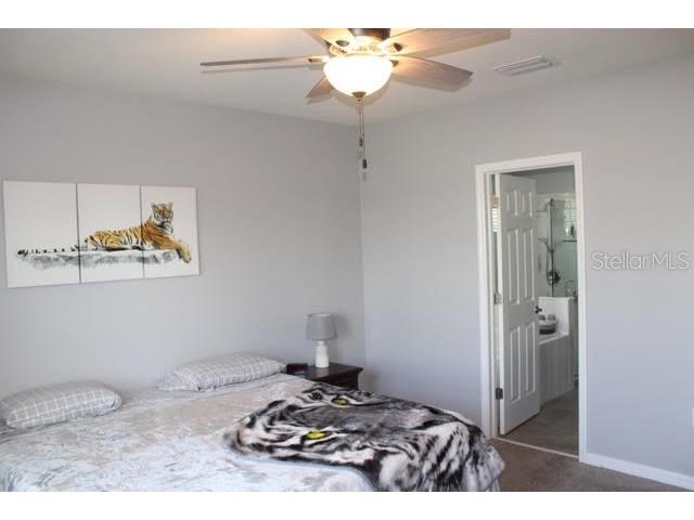 11906 Bahia Valley Drive Riverview FL 33579 TB8441630 image19