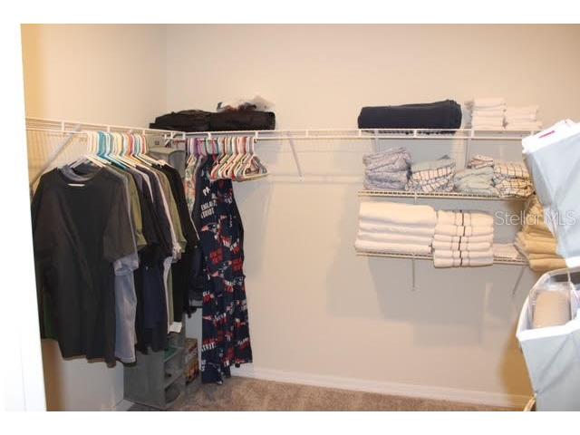 11906 Bahia Valley Drive Riverview FL 33579 TB8441630 image25