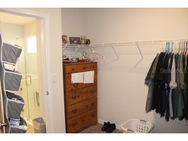 11906 Bahia Valley Drive Riverview FL 33579 TB8441630 image26