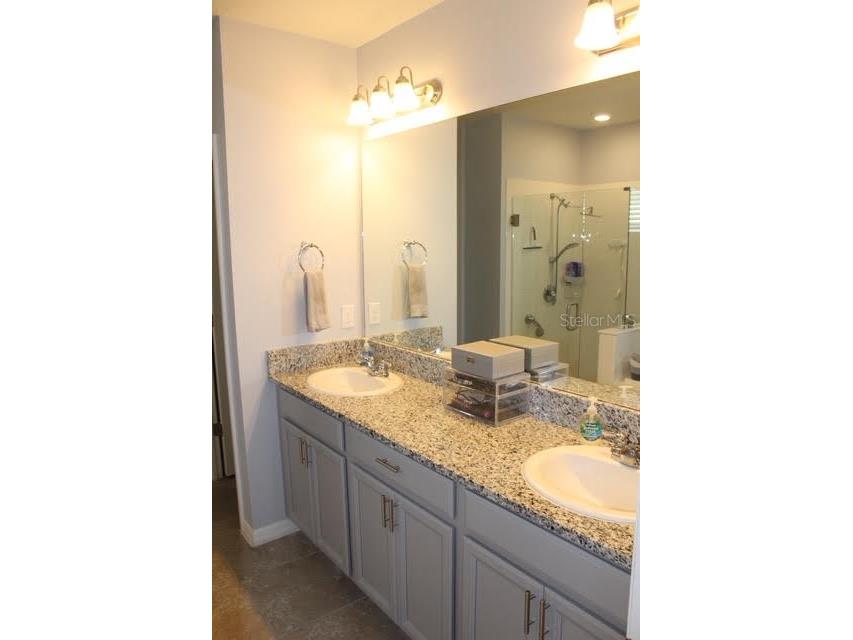 11906 Bahia Valley Drive Riverview FL 33579 TB8441630 image27