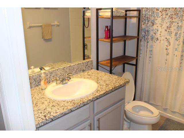 11906 Bahia Valley Drive Riverview FL 33579 TB8441630 image9