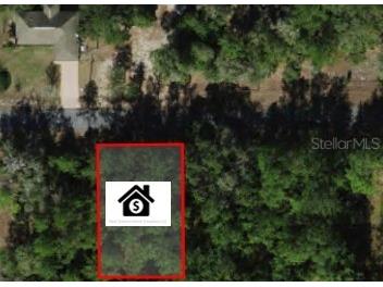 11908 Monica Drive Citrus Springs FL 34433 O6296797 image1