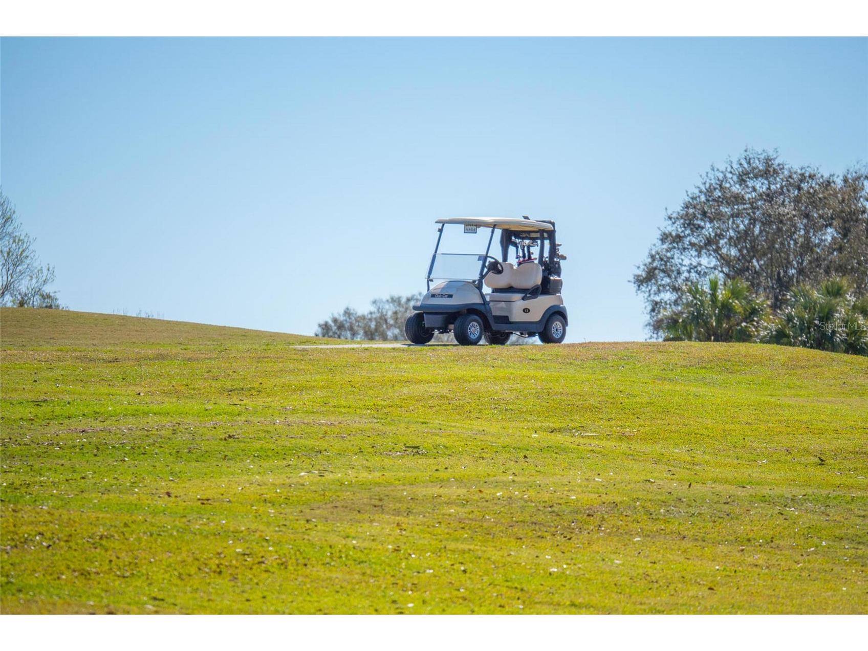 11908 Oak Ridge Drive Parrish FL 34219 A4681921 image56