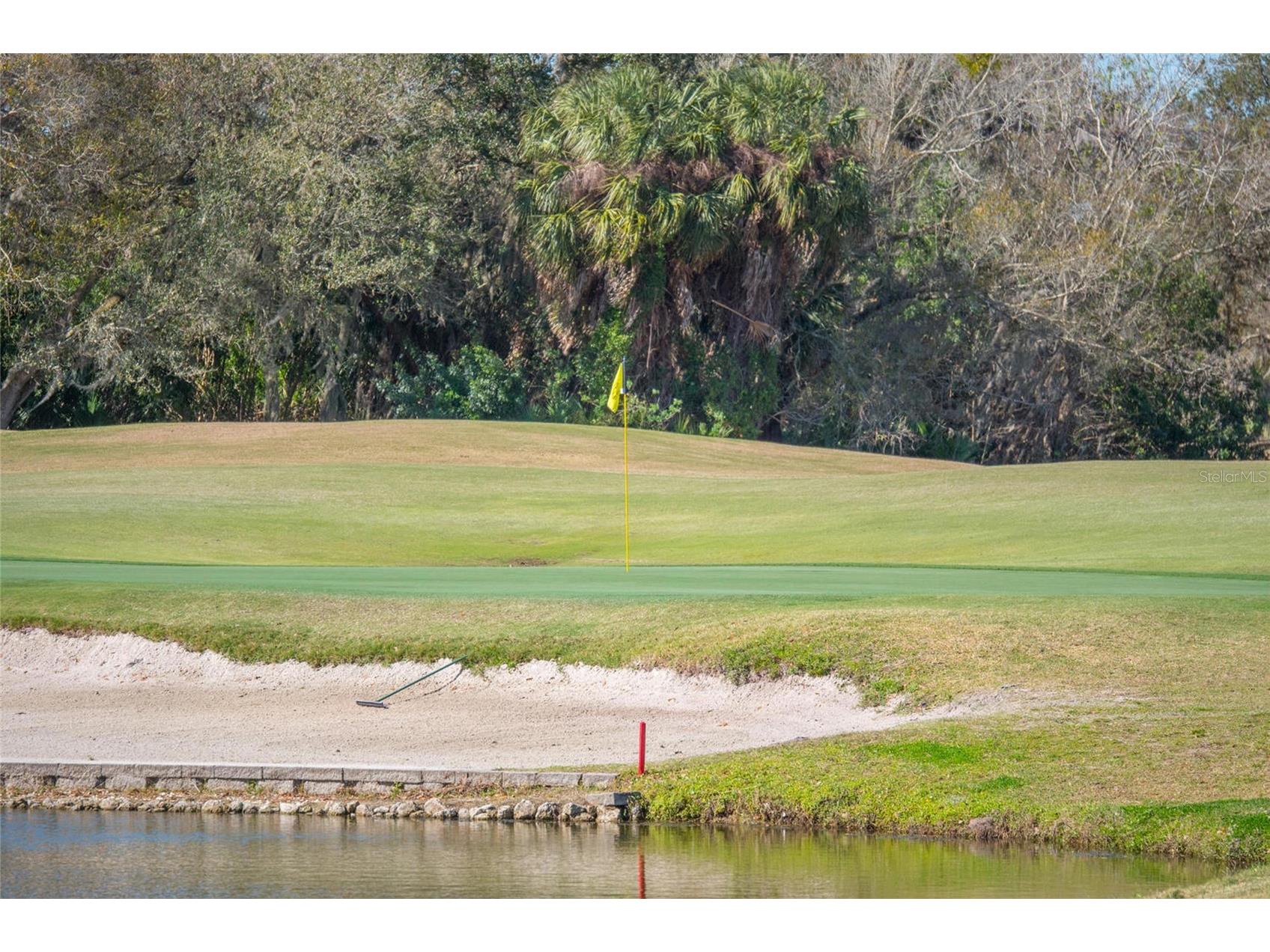 11908 Oak Ridge Drive Parrish FL 34219 A4681921 image57