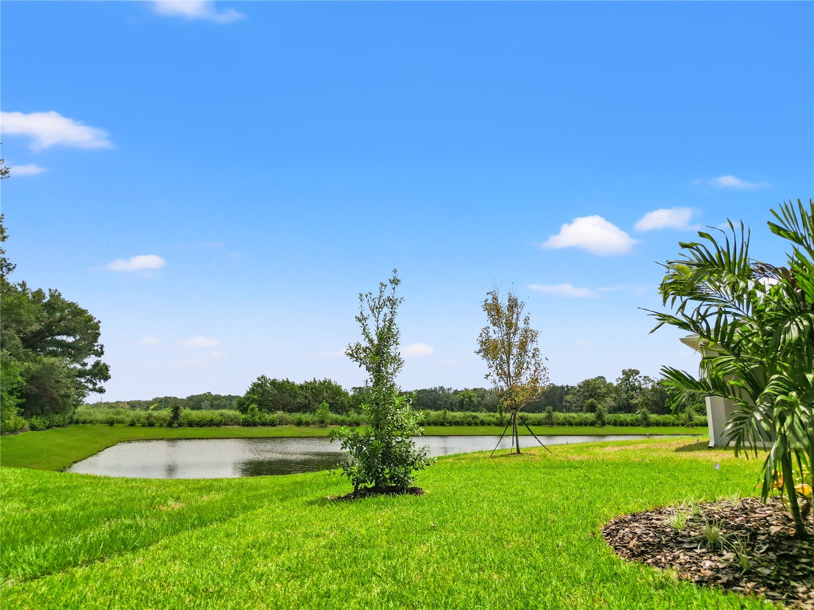 11908 Richmond Trail Parrish FL 34219 TB8484535 image38