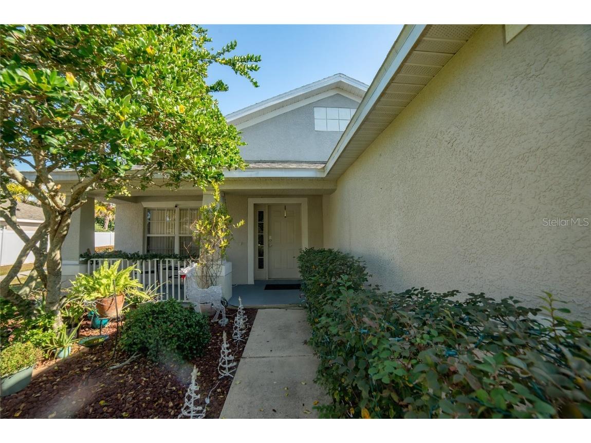 11909 Autumn Creek Drive Riverview FL 33569 TB8456963 image7