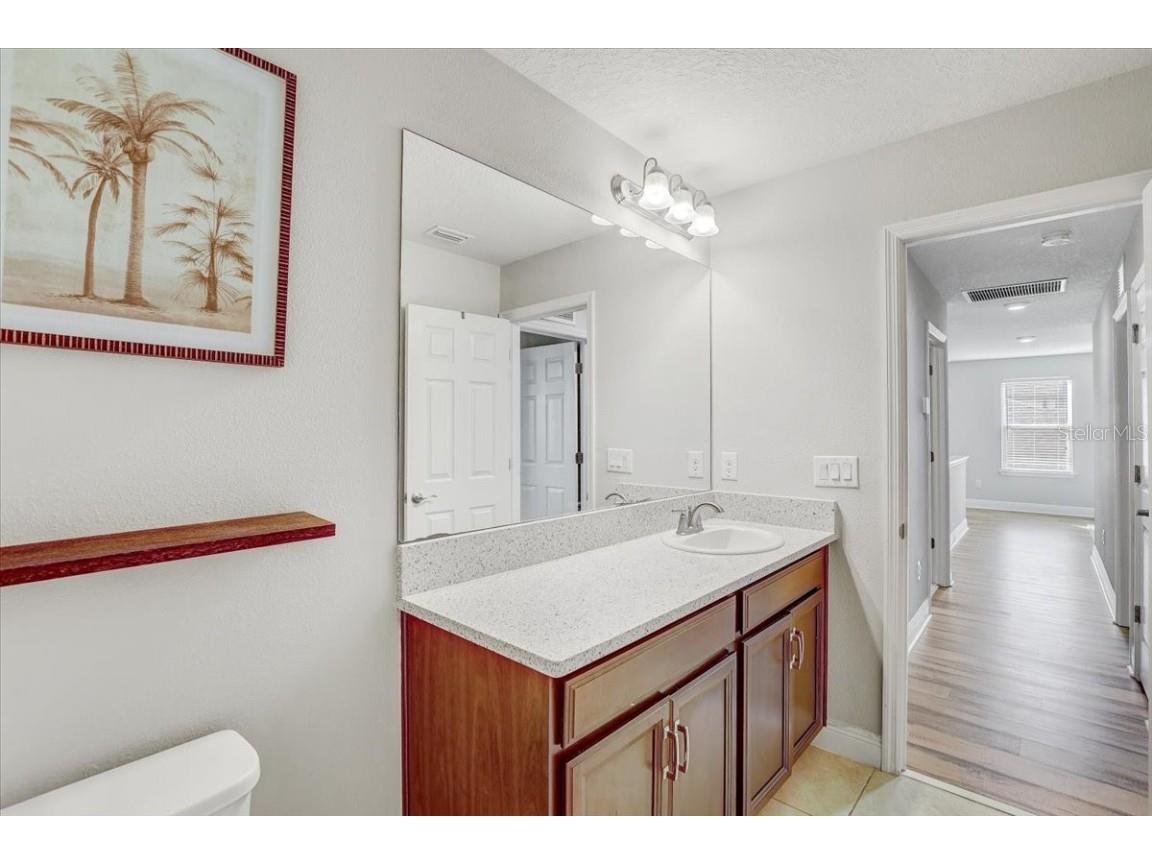 11909 Bahia Valley Drive Riverview FL 33579 TB8453309 image31