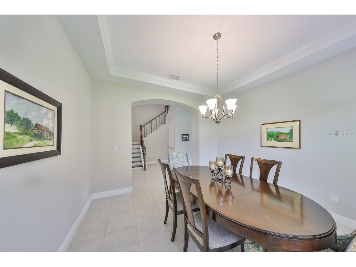 11909 Climbing Fern Avenue Riverview FL 33579 TB8379563 image10