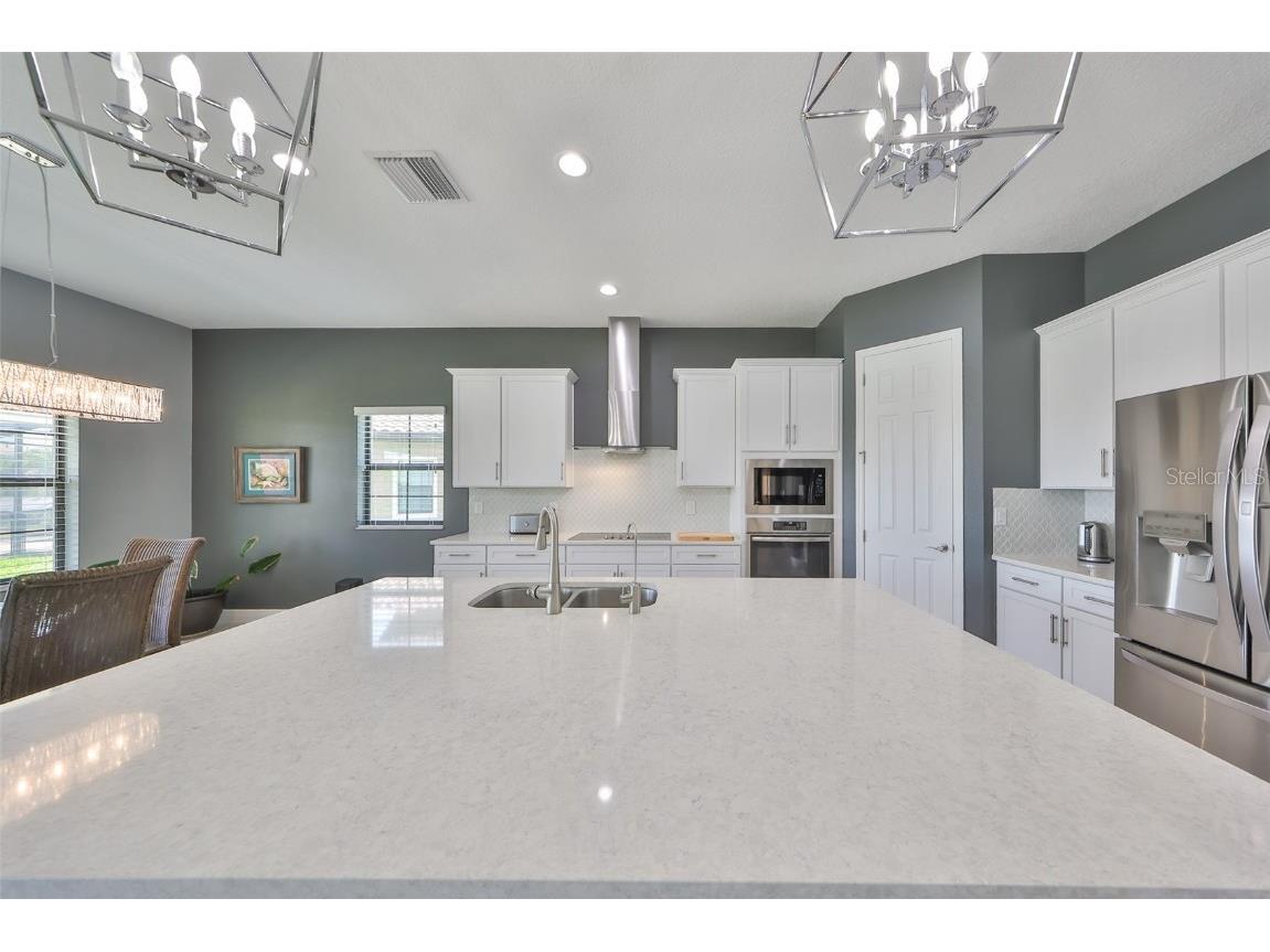 11909 Climbing Fern Avenue Riverview FL 33579 TB8379563 image25