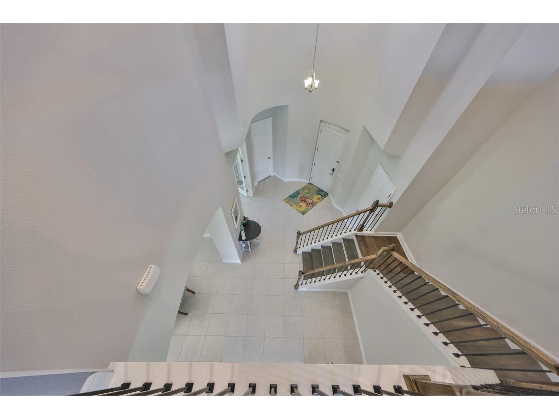 11909 Climbing Fern Avenue Riverview FL 33579 TB8379563 image30