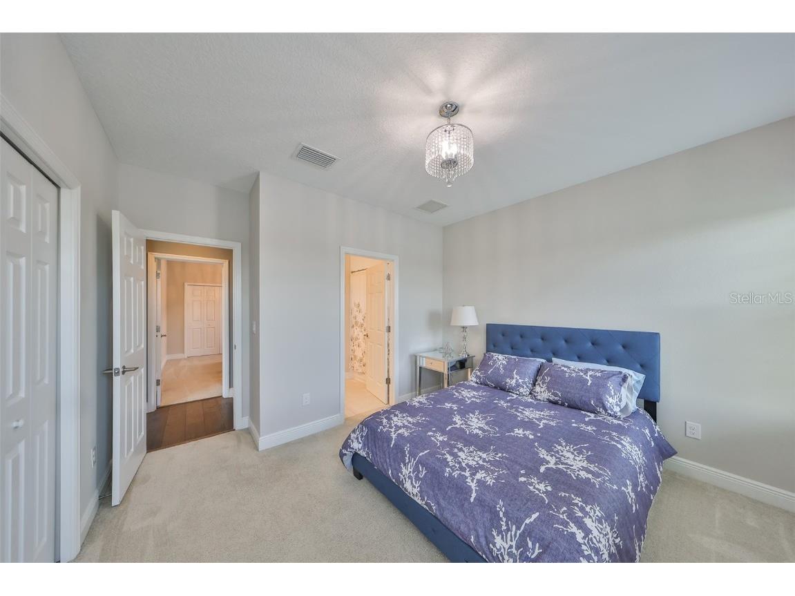 11909 Climbing Fern Avenue Riverview FL 33579 TB8379563 image37