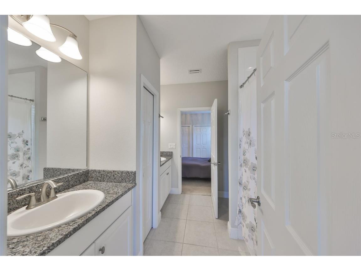 11909 Climbing Fern Avenue Riverview FL 33579 TB8379563 image39