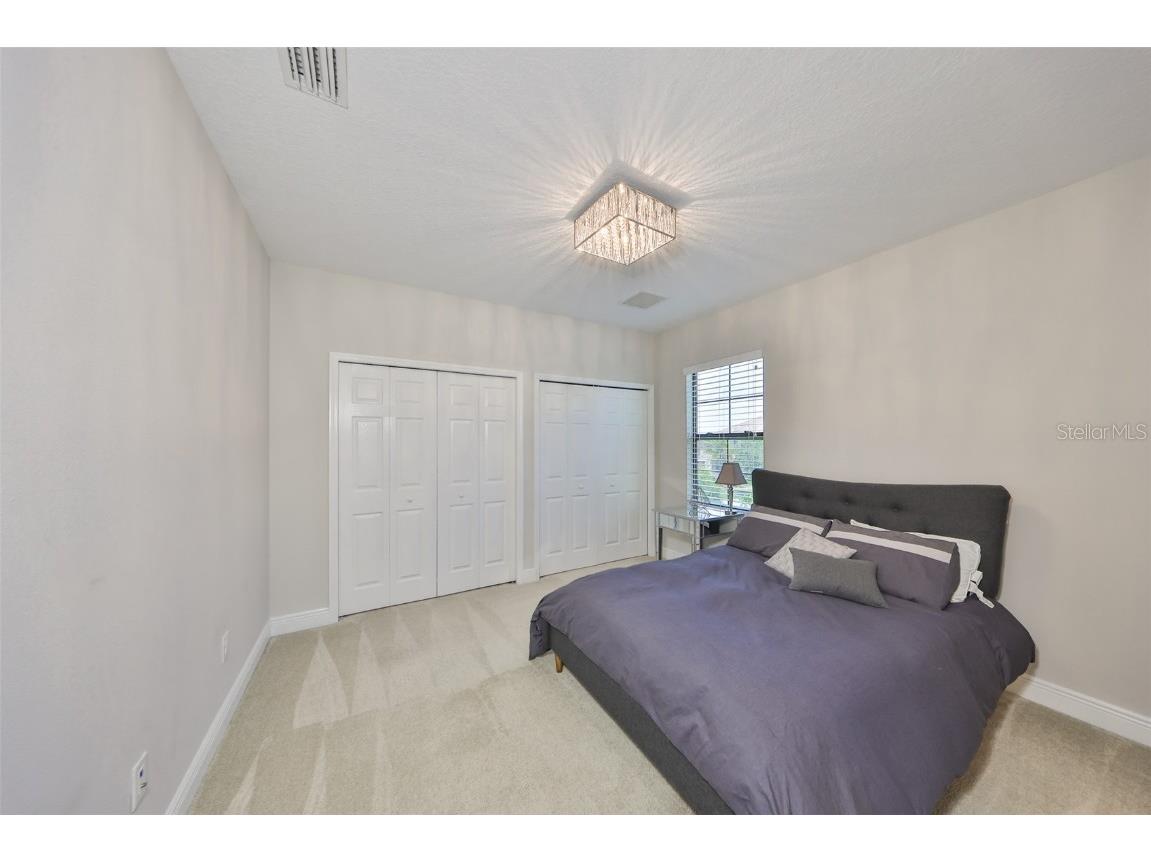 11909 Climbing Fern Avenue Riverview FL 33579 TB8379563 image40