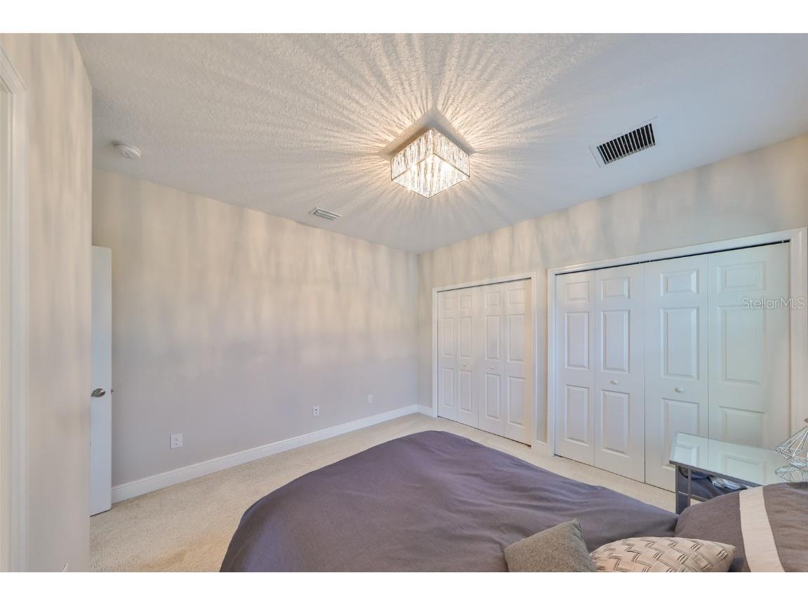 11909 Climbing Fern Avenue Riverview FL 33579 TB8379563 image41