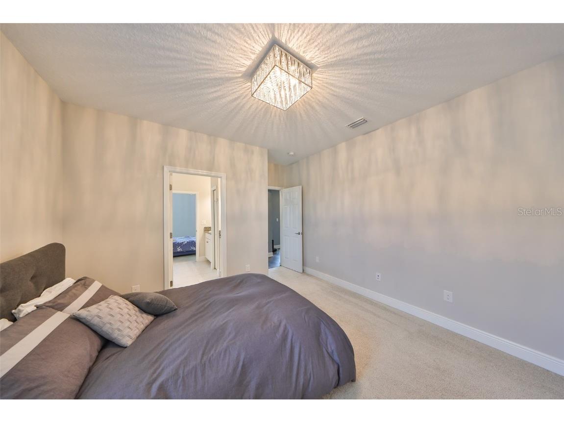 11909 Climbing Fern Avenue Riverview FL 33579 TB8379563 image42