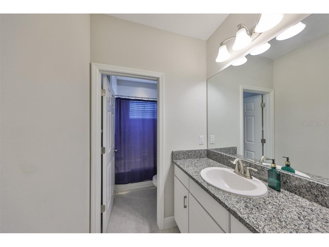 11909 Climbing Fern Avenue Riverview FL 33579 TB8379563 image43