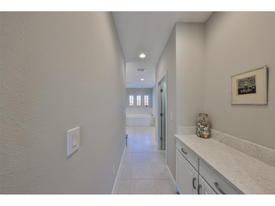 11909 Climbing Fern Avenue Riverview FL 33579 TB8379563 image52