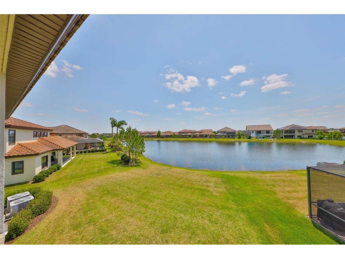 11909 Climbing Fern Avenue Riverview FL 33579 TB8379563 image60