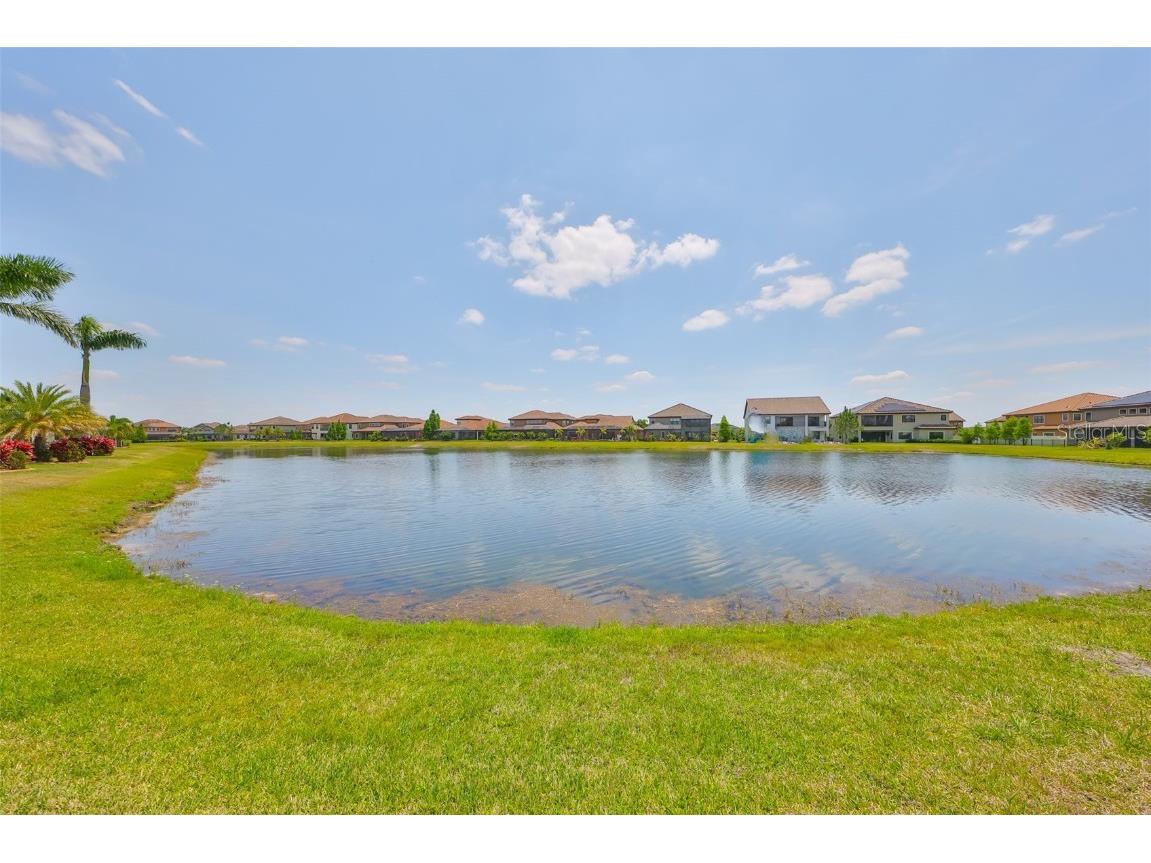 11909 Climbing Fern Avenue Riverview FL 33579 TB8379563 image63