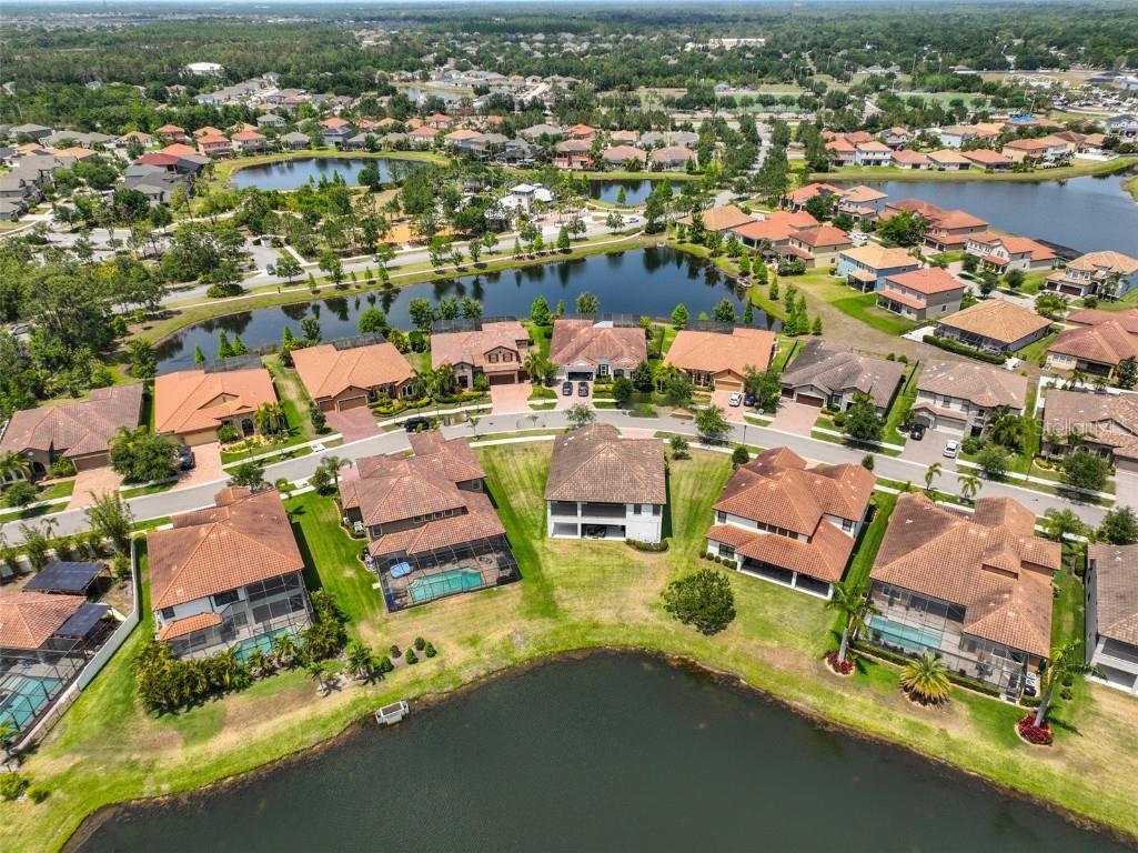 11909 Climbing Fern Avenue Riverview FL 33579 TB8379563 image70