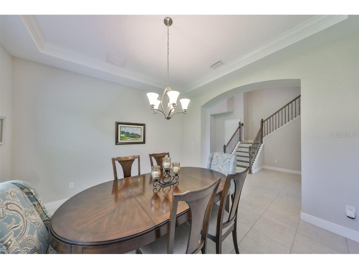 11909 Climbing Fern Avenue Riverview FL 33579 TB8379563 image9