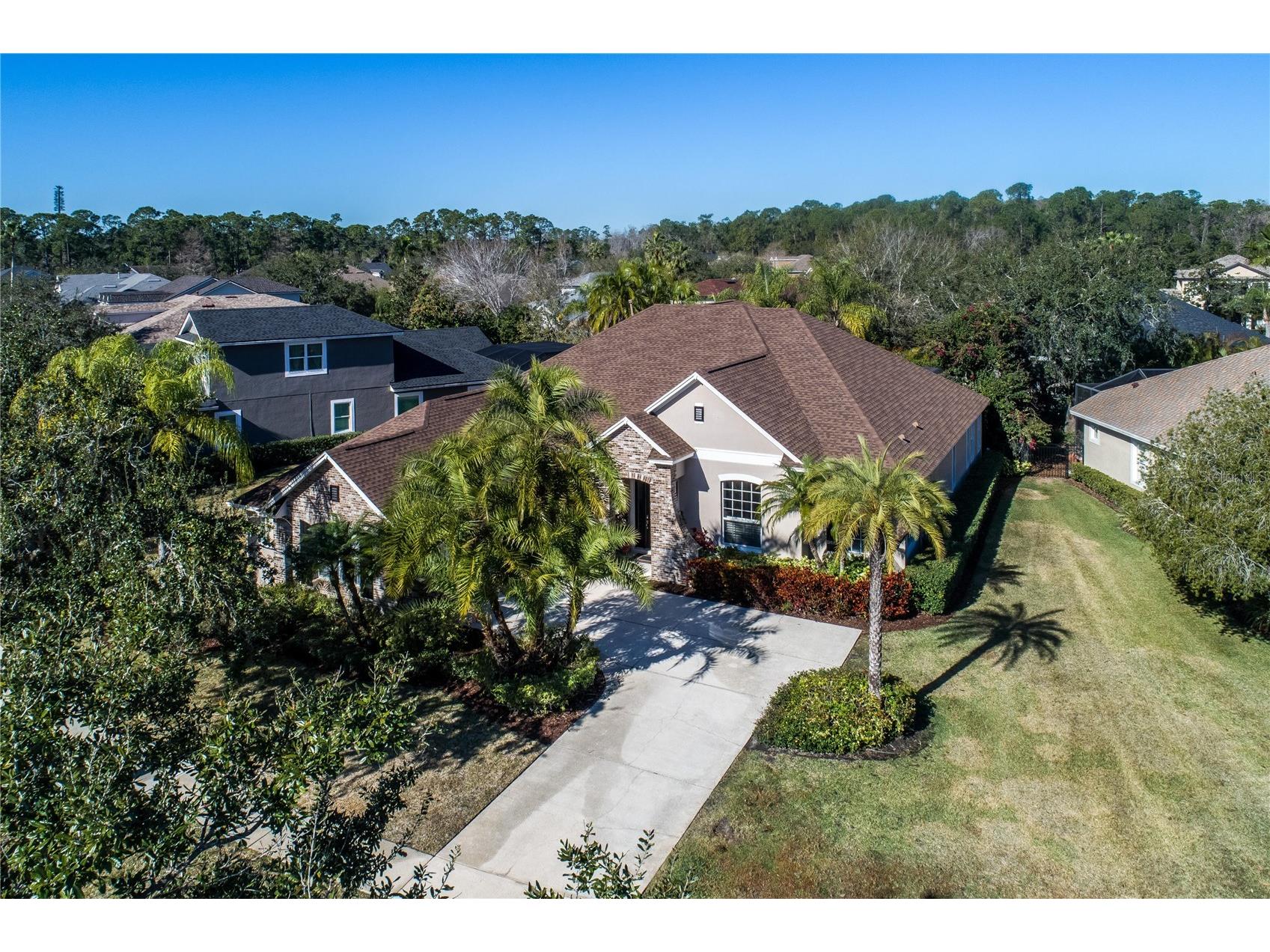 11909 Mandevilla Court Tampa FL 33626 O6403527 image32