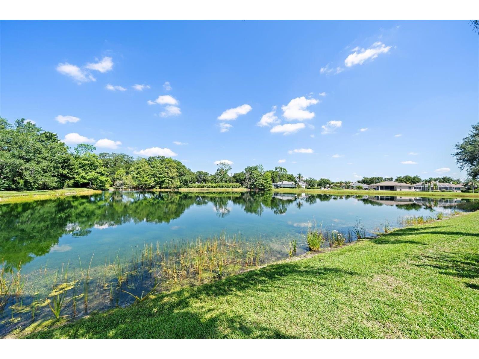 11909 Summer Meadow Drive Lakewood Ranch FL 34202 A4697369 image50