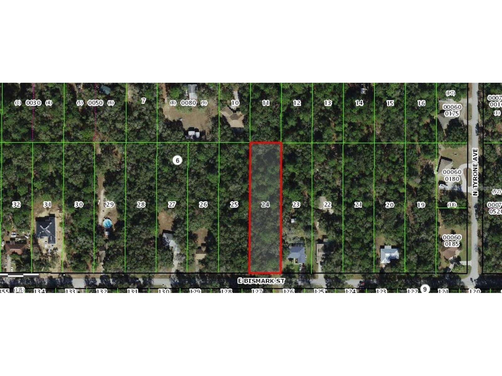 1191 E Bismark Street Hernando FL 34442 TB8392811 image1