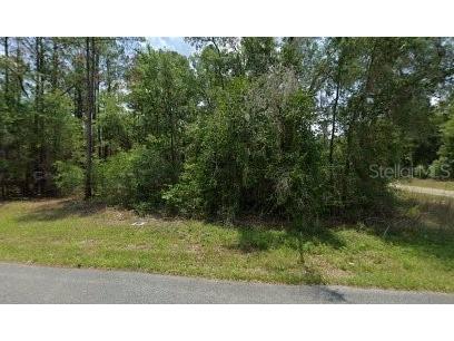 11910 Monica Drive Citrus Springs FL 34433 O6351267 image1