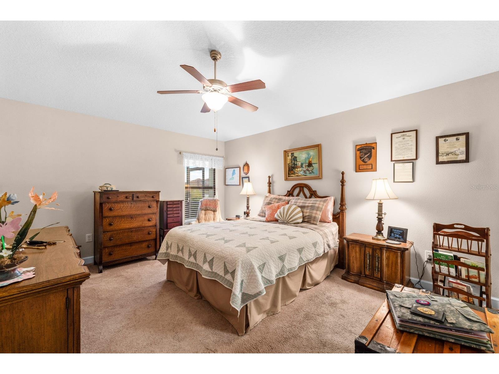 11911 Frost Aster Drive Riverview FL 33579 TB8484531 image15