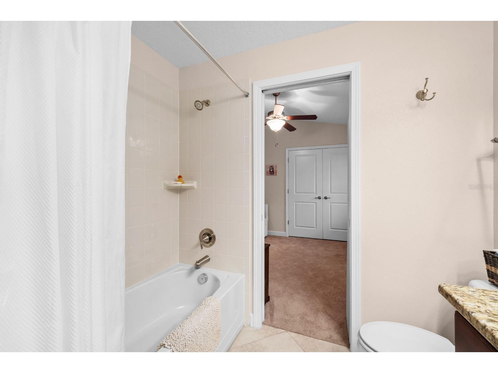 11911 Frost Aster Drive Riverview FL 33579 TB8484531 image20