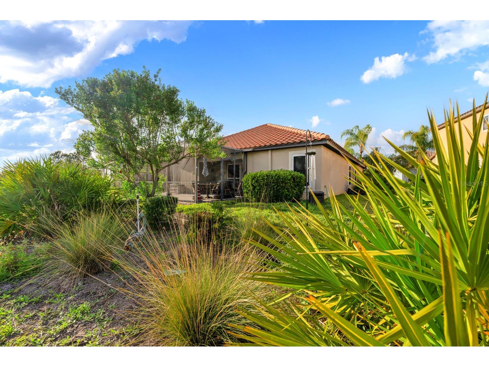 11911 Frost Aster Drive Riverview FL 33579 TB8484531 image26