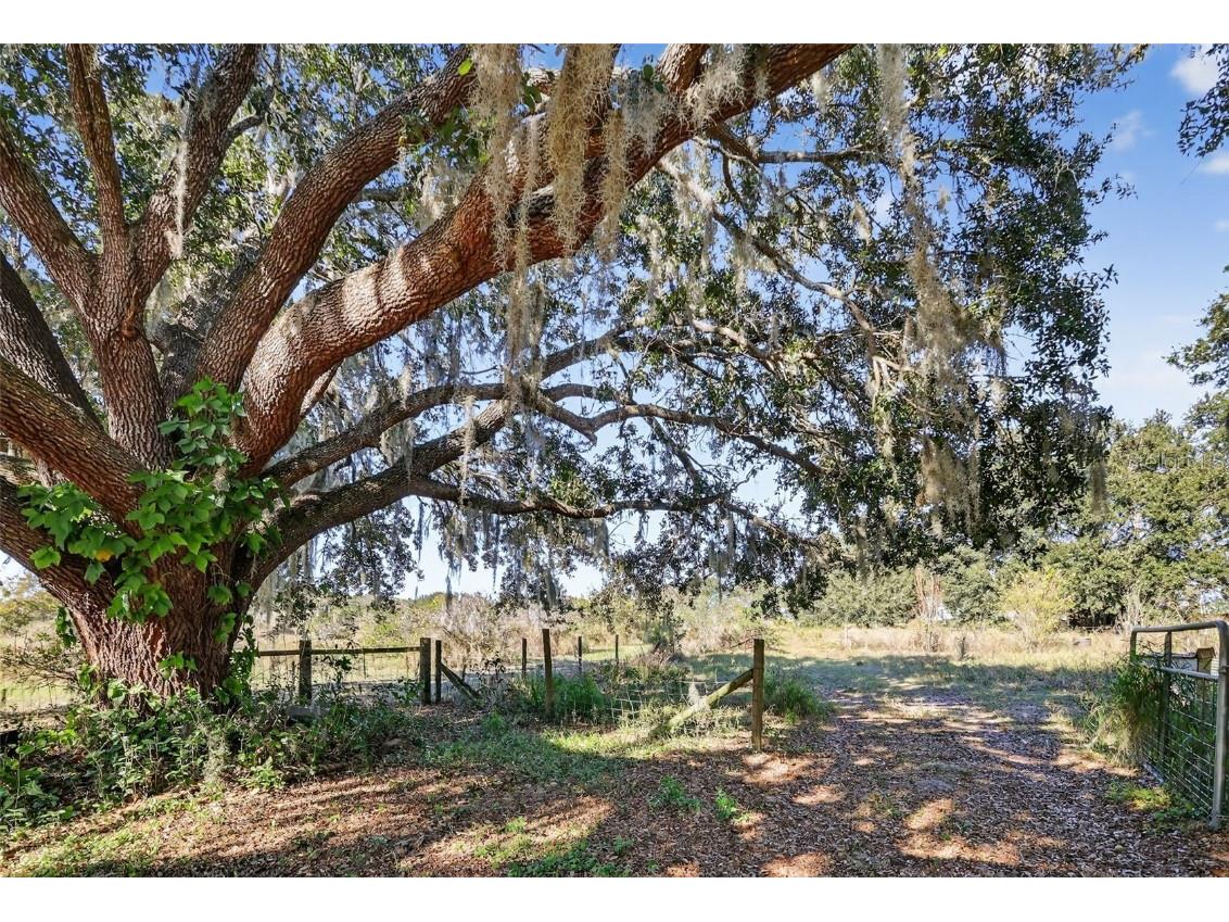 11911 Lane Park Road Tavares FL 32778 - LAKE HARRIS G5105471 image23