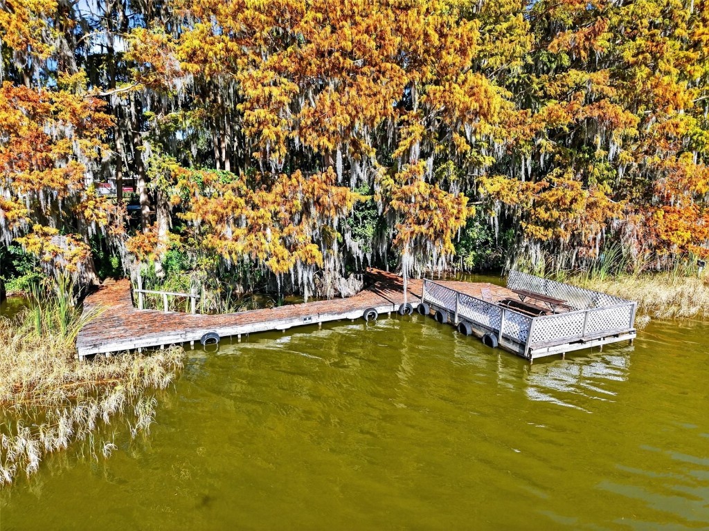 11911 Lane Park Road Tavares FL 32778 - LAKE HARRIS G5105471 image26