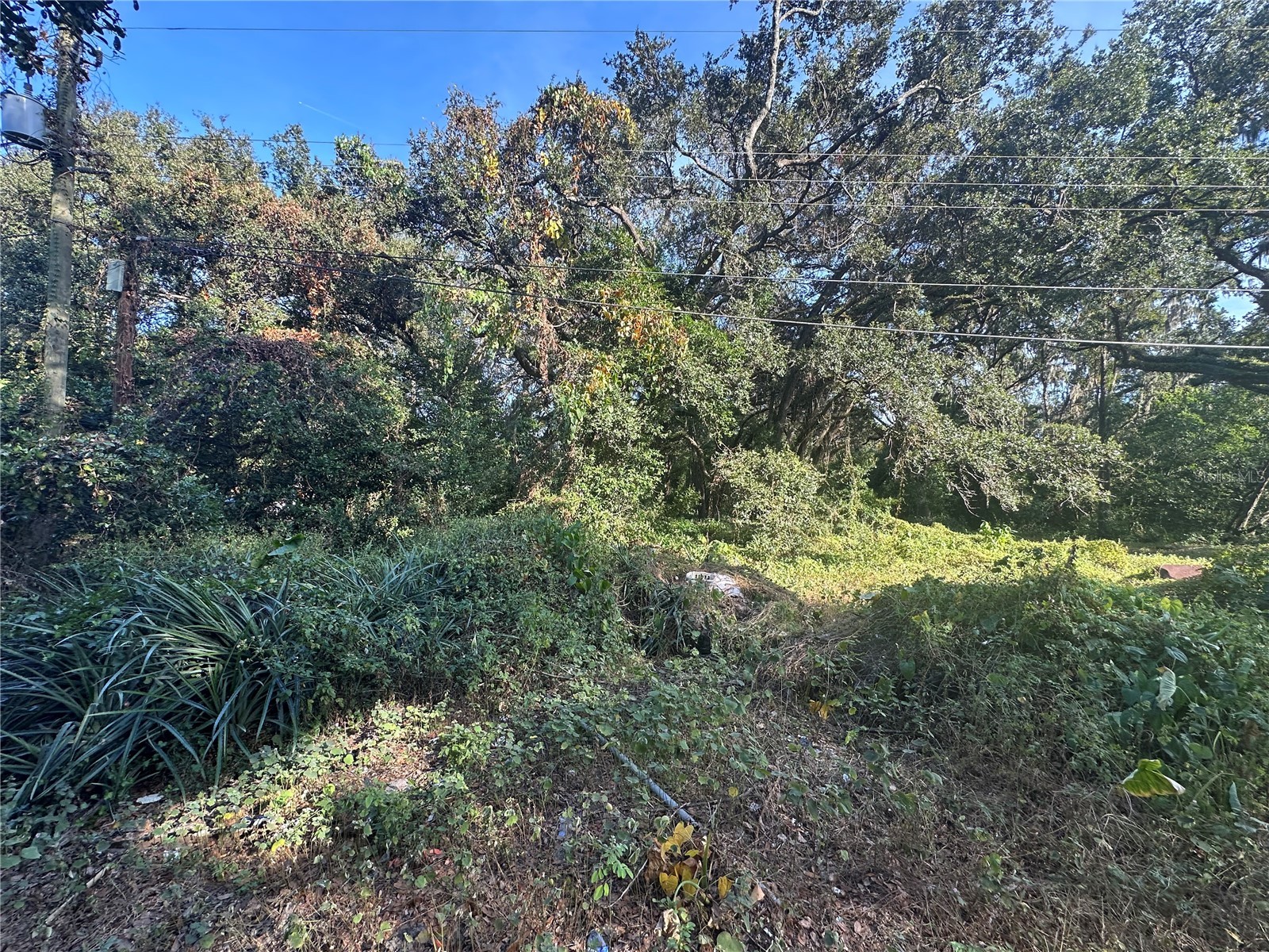 11911 Leroy Sheppard Road Thonotosassa FL 33592 TB8469454 image1