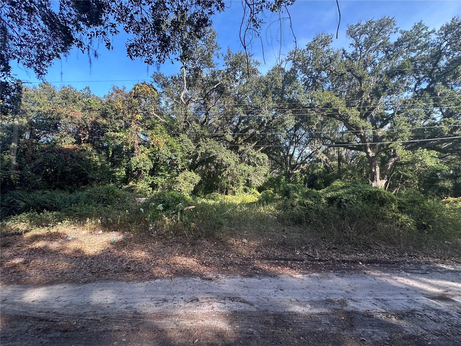 11911 Leroy Sheppard Road Thonotosassa FL 33592 TB8469454 image4