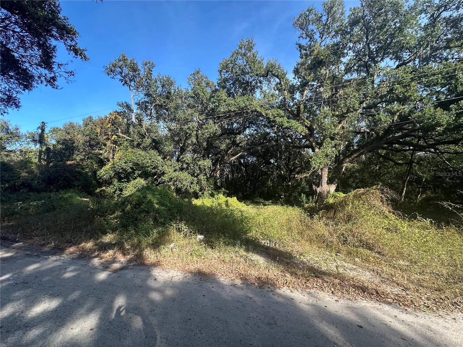 11911 Leroy Sheppard Road Thonotosassa FL 33592 TB8469454 image5