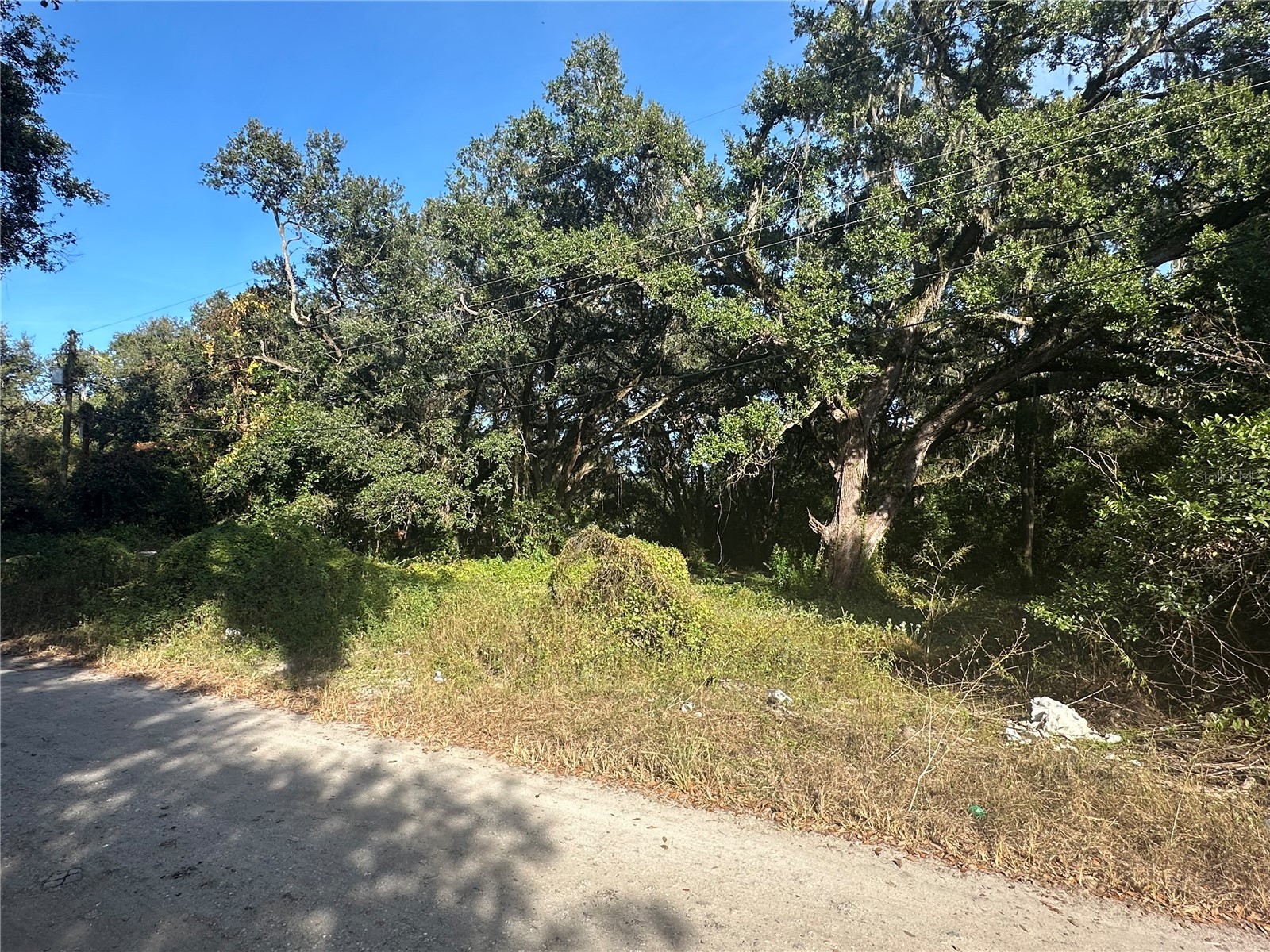 11911 Leroy Sheppard Road Thonotosassa FL 33592 TB8469454 image6