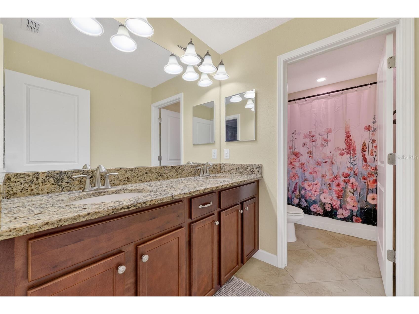 11911 Sand Myrtle Road Riverview FL 33579 TB8516768 image25