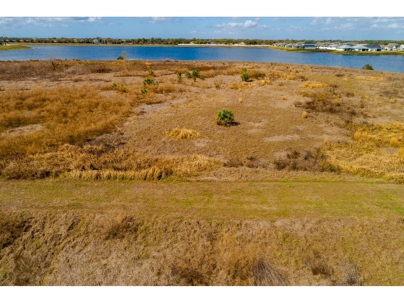 11911 Stone Pine Street Riverview FL 33569 TB8482733 image53