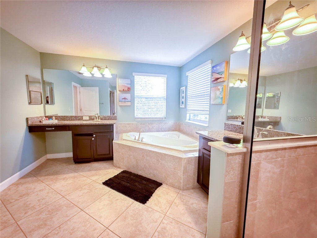 11911 Twilight Darner Place Riverview FL 33569 TB8452471 image13