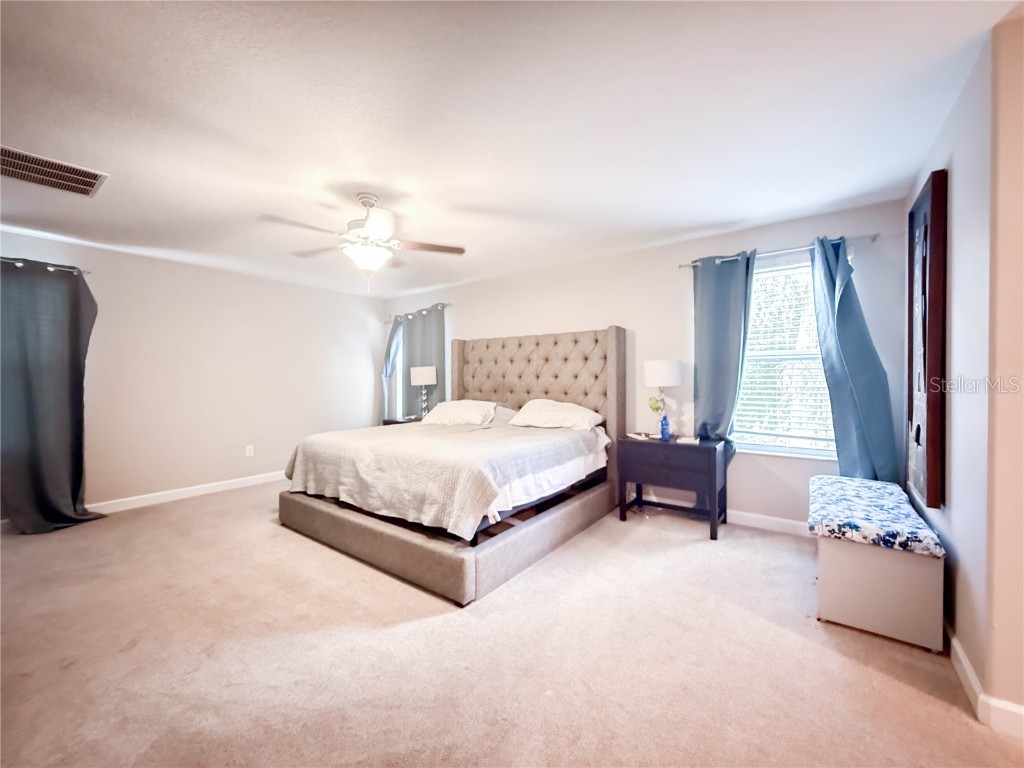 11911 Twilight Darner Place Riverview FL 33569 TB8452471 image14